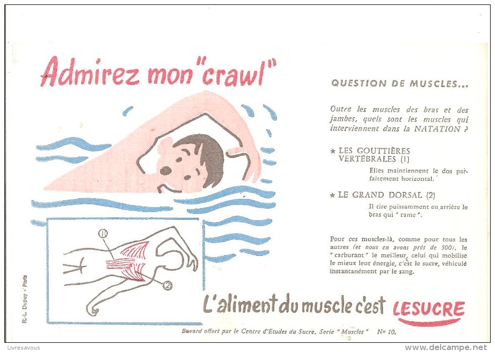 Buvard LESUCRE L´aliment Du Muscle C´est LESUCRE Buvard N°10 Admirez Mon"crawl" - Sucreries & Gâteaux