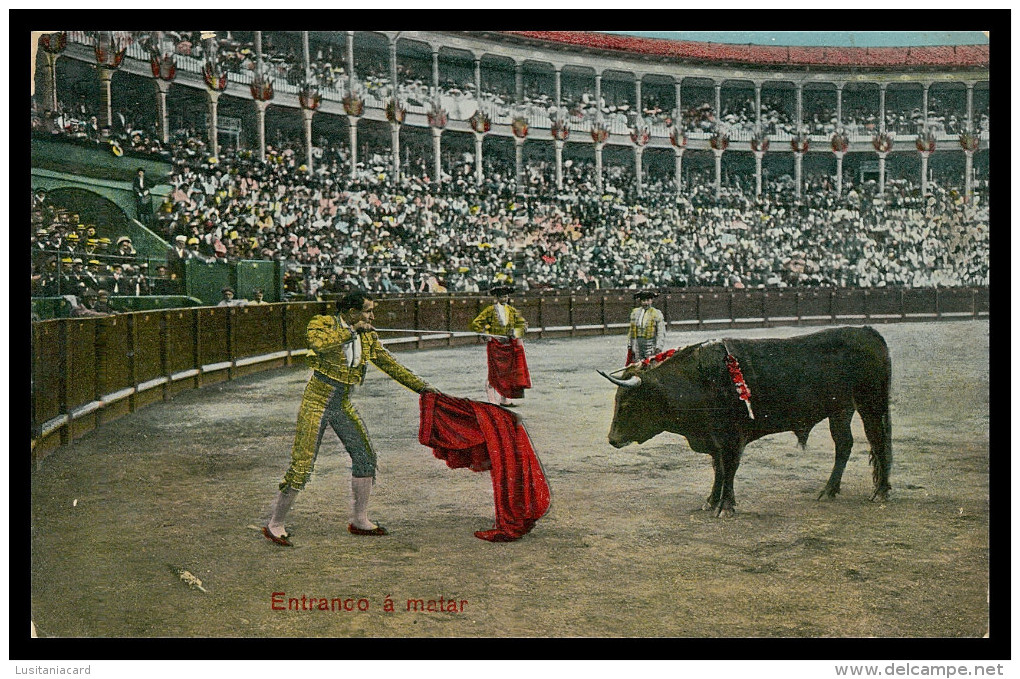 SPAIN - Entrando A Matar ( Nº 1913. 8.)   Carte Postale - Corrida