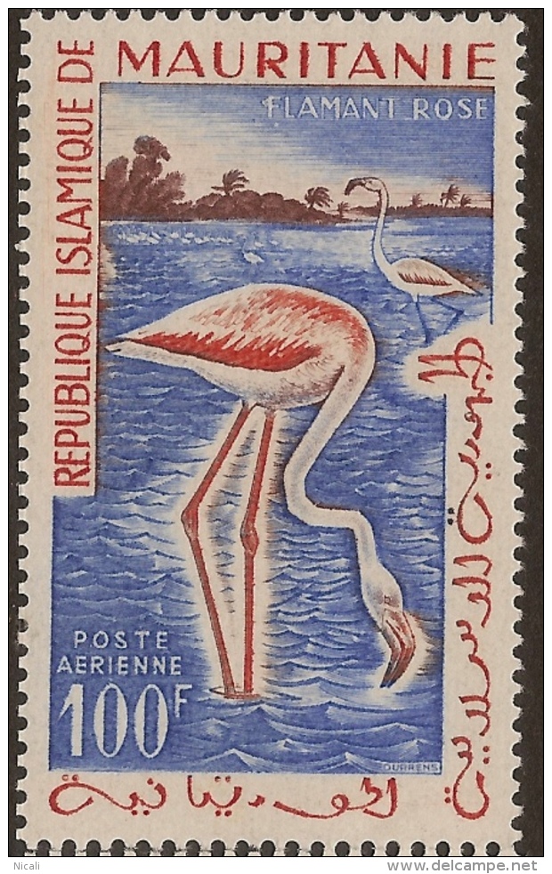 MAURITANIA 1960 100f Flamingo SG 146 UNHM #UQ61 - Sonstige & Ohne Zuordnung