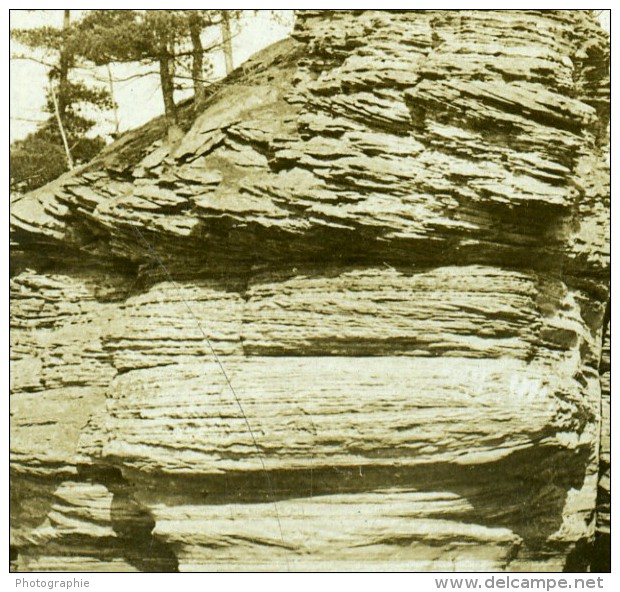 USA Wisconsin River The Great Sugar Bowl Ancienne Photo Stereoscope Kelley 1904 - Photos Stéréoscopiques