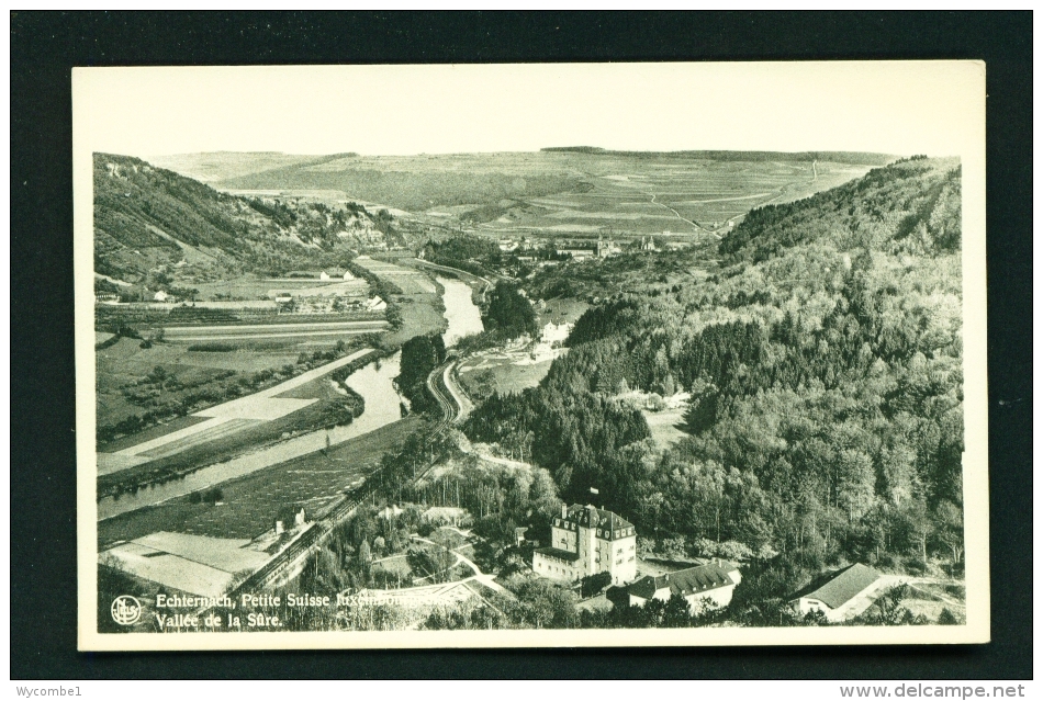 LUXEMBOURG  -  Echternach  Vallee De La Sure  Unused Vintage Postcard - Echternach