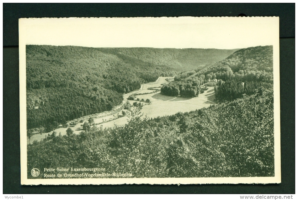 LUXEMBOURG  -  Mullerthal  Route De Grundhof-Vogelsmuhle  Unused Vintage Postcard - Müllerthal