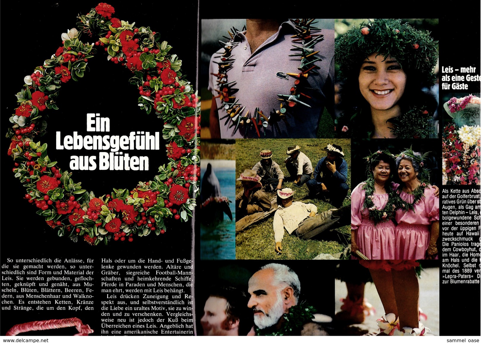 Geo Magazin Spezial  -  Hawaii -  Nr. 4 / 1984  -  Paradies Auf Heißem Boden - Wilder Westen Am Lavastrand - Travel & Entertainment