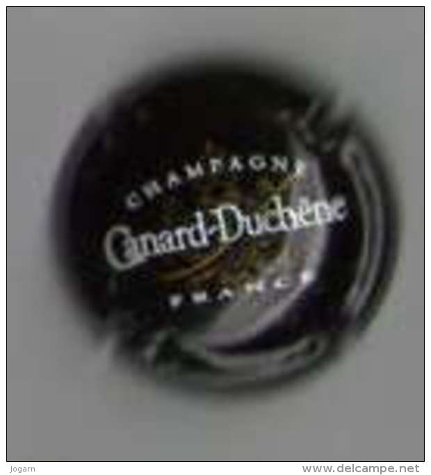 CHAMPAGNE - CANARD DUCHENE N° 75 H - Canard Duchêne