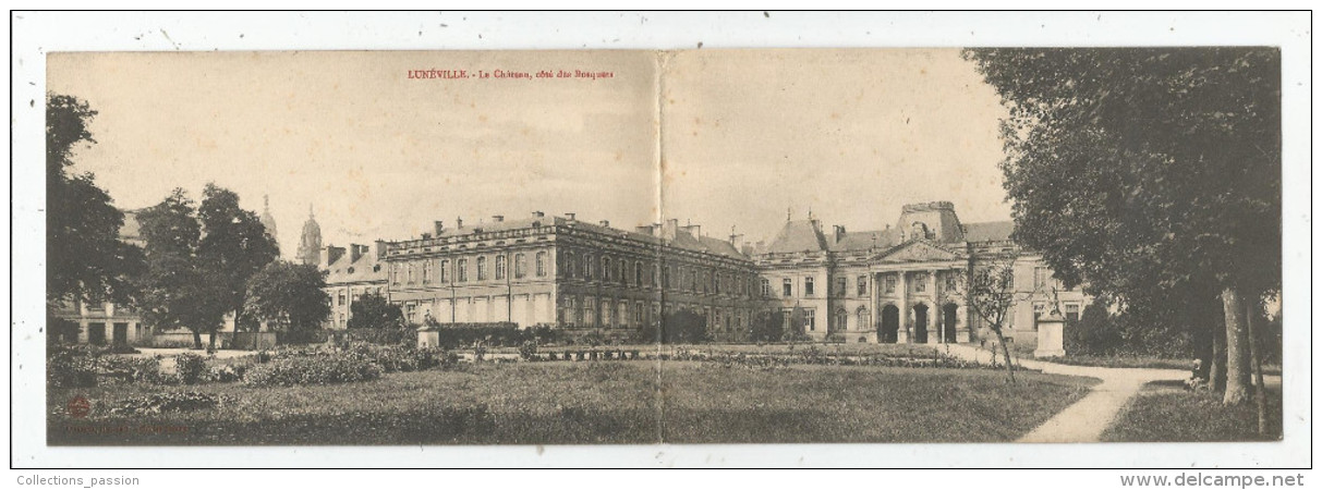 Double Cp , 54 , LUNEVILLE , Vierge , Le Château , Côté Des Bosquets - Luneville