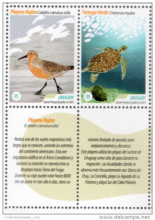 2013 URUGUAY  Bird Calidris Canutus Rufa Moon Bird &amp; Marine Turtle Chelonia Mydas MNH Stamp Set - Albatros