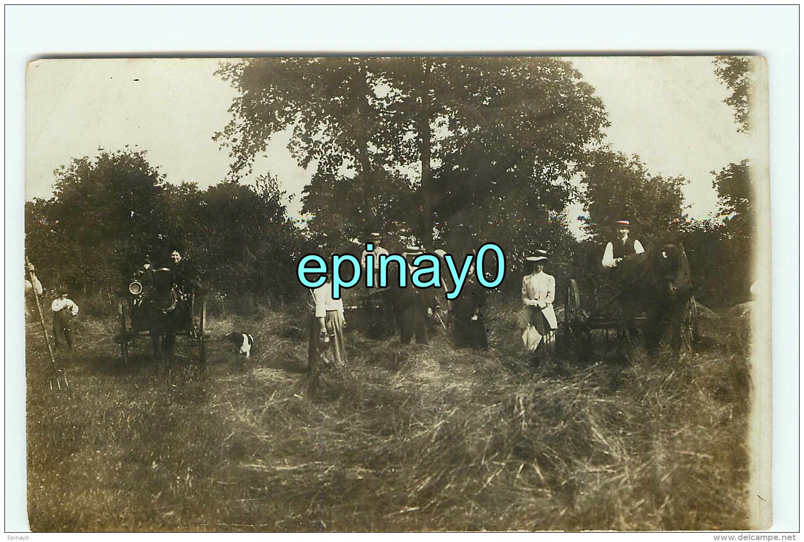 CARTE PHOTO A LOCALISER - FAMILLE - AGRICULTEUR - PAYSAN - SAISON DES FOINS - FENAISON - FAMILLE - Photos