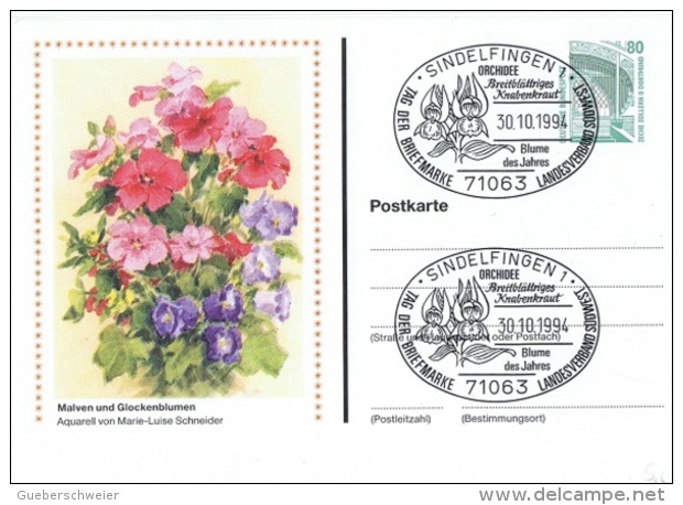 ORCH-L15 - ALLEMAGNE Entier Postal Illustré Fleurs Obl. Temp. Journée Du Timbre Sindelfingen Ill. Orchidée - Privé Postkaarten - Gebruikt