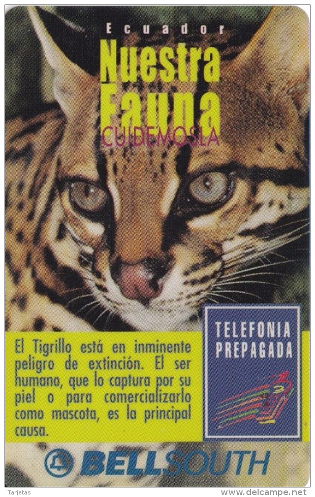 TARJETA DE ECUADOR  DE UN TIGRILLO    (GATO SALVAJE-CAT) - Equateur