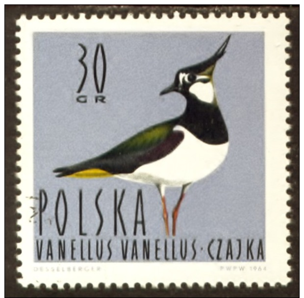 Polen 1964, Poland, Polska, Pologne, Vanellus Vanellus, Bird, Oiseau, SG 1484, YT 1347, Mi 1490 - Used Stamps