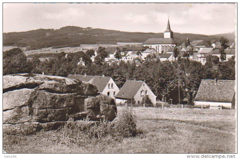 Luftkurort Weissenstadt Im Fichtelgebirge " Blick Von Der Elisenhöhe " ( Vers Rodange ) - Wunsiedel