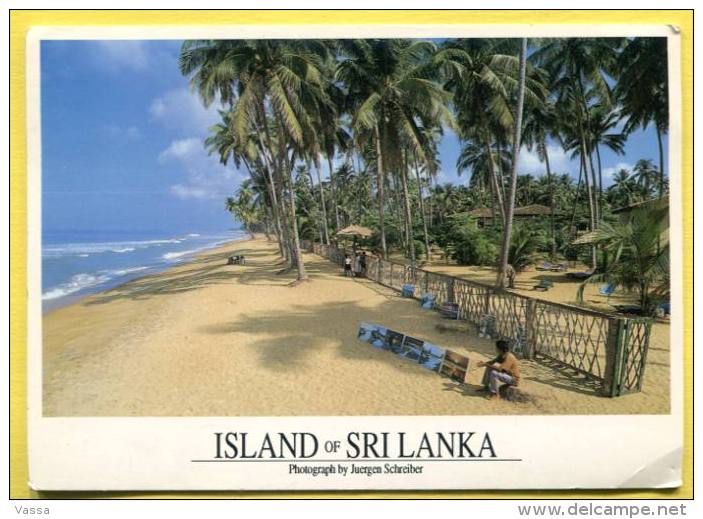 SRI LANKA .  Used  2  Stamps Birds - Sri Lanka (Ceylon)