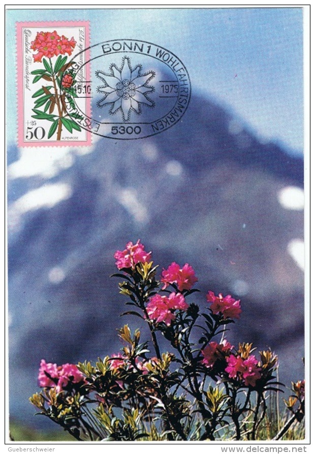 FLORA-L263 - ALLEMAGNE N° 718 Sur Carte Maximum Rhododendron Obl. Illustrée Edelweiss - 1961-1980