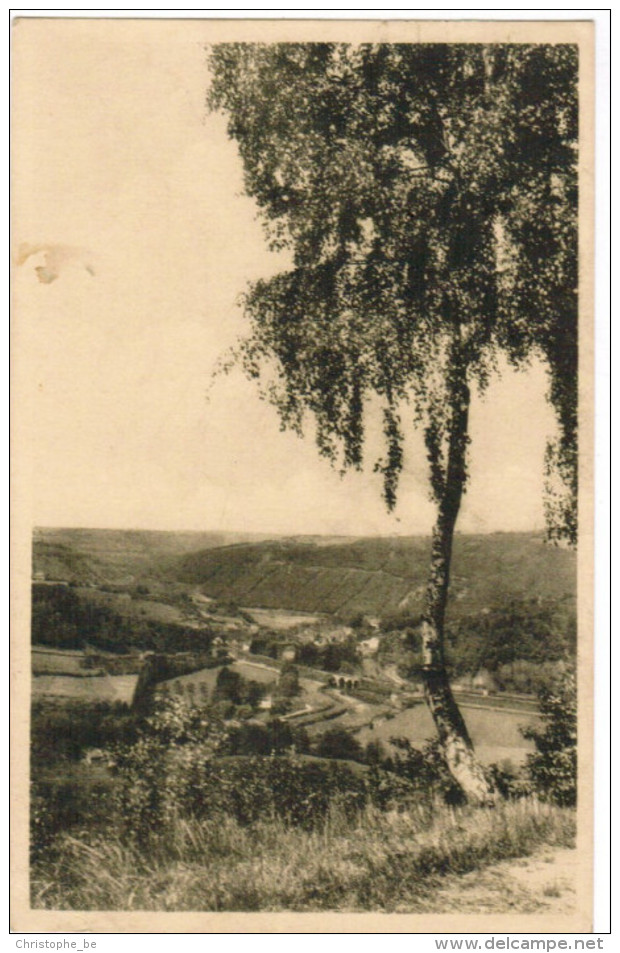 Vue Panoramique Prise Sur La Route De Banneux Notre Dame A Nessonvaux (pk30330) - Sprimont