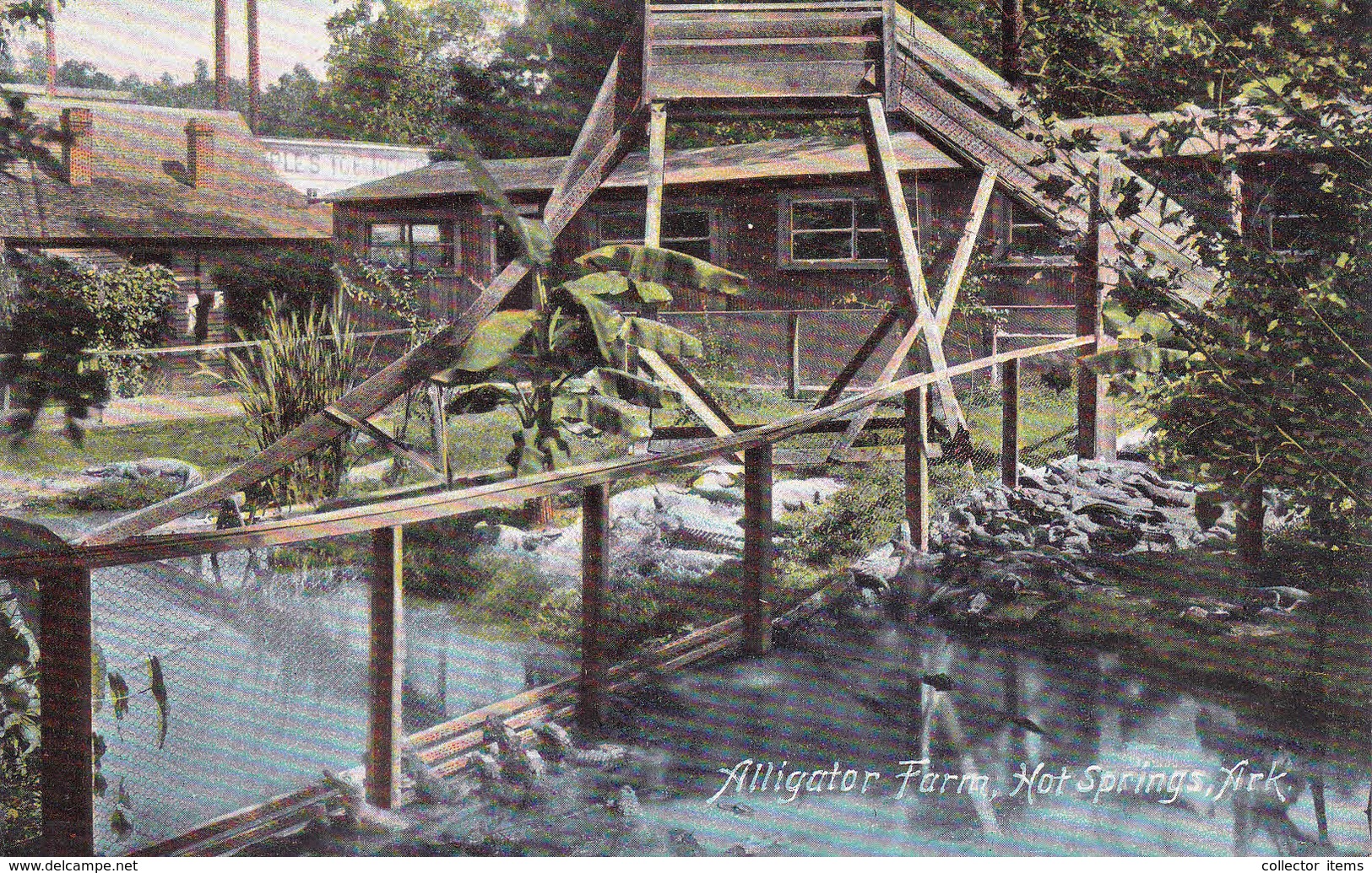 Hot Springs, Arkansas, Alligator Farm - Hot Springs