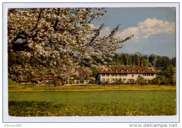 BIELERSEE HOTEL ST PETERSINSEL - Autres & Non Classés