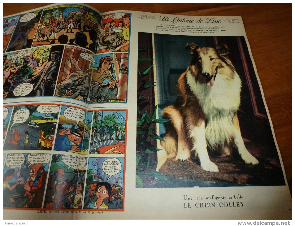1960 LINE(couverture par ALSAN) : L'histoire d'AGATHA CHISTIE;Le beau chien COLLEY; Mode chez les ZOULOUS