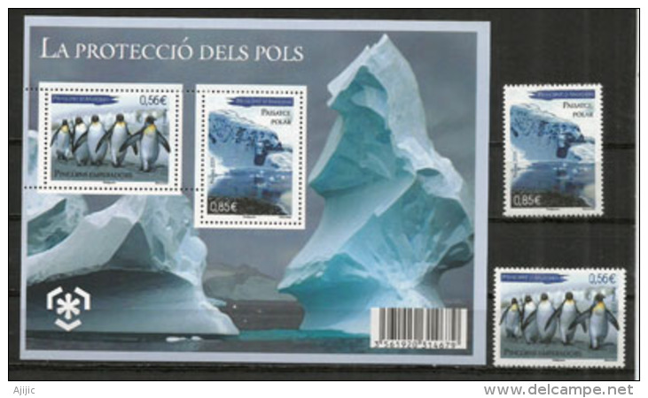 ANDORRA. Protection Des Glaciers Et Zones Polaires.  Un Bloc-feuillet + Les Timbre Neufs ** - Preserve The Polar Regions And Glaciers