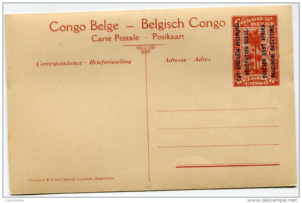 CONGO BELGE CARTE POSTALE ENTIER SURCHARGE EST AFRICAIN ALLEMAND (OCCUPATION BELGE) N°43 UN DES SOMMETS DU MONT LUBAFU - Entiers Postaux