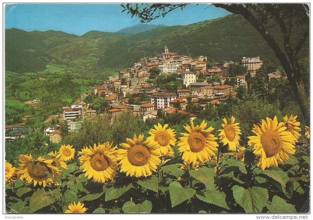 R546 Fiuggi (Frosinone) - Panorama Dal Colle Michelangelo - Fiori Flowers Fleurs / Non Viaggiata - Altri & Non Classificati