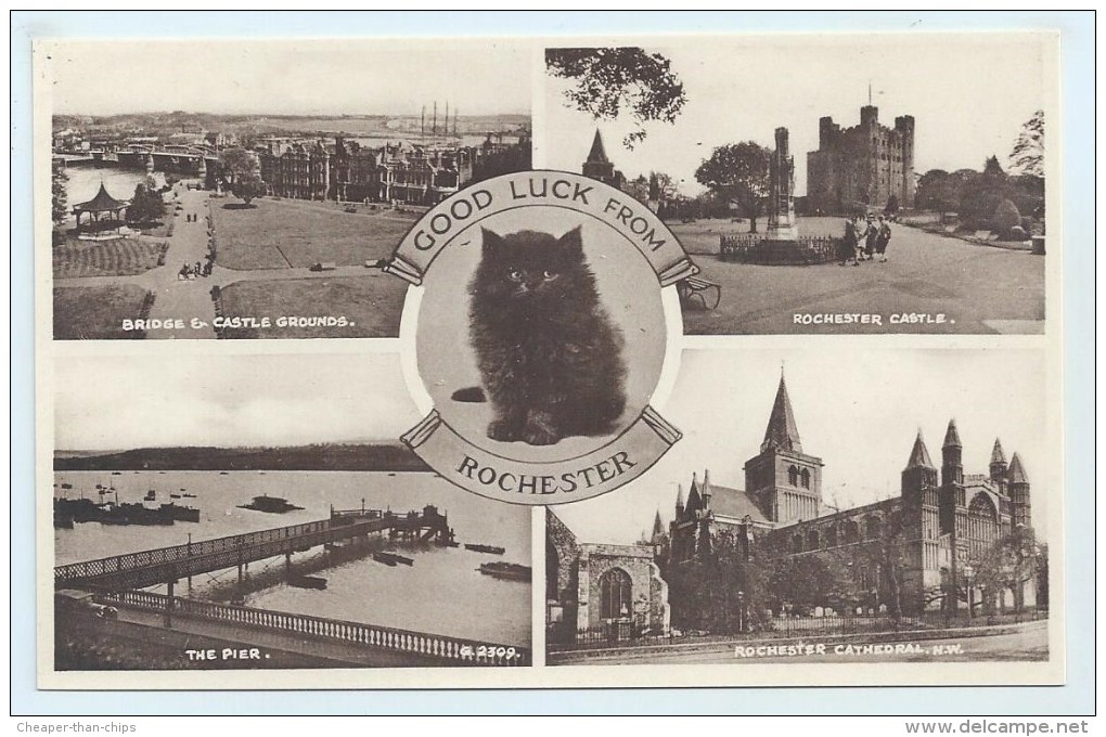 Rochester Multiview - Black Cat - Rochester