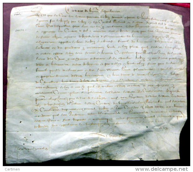63 RIOM LES  PRADEAUX LETTRE PATENTE DU ROI SUR VELIN  ACCORDANT LA JOUISSANCE DE TENEMENTS A PIERRE BRUNE 1603 - Documents Historiques
