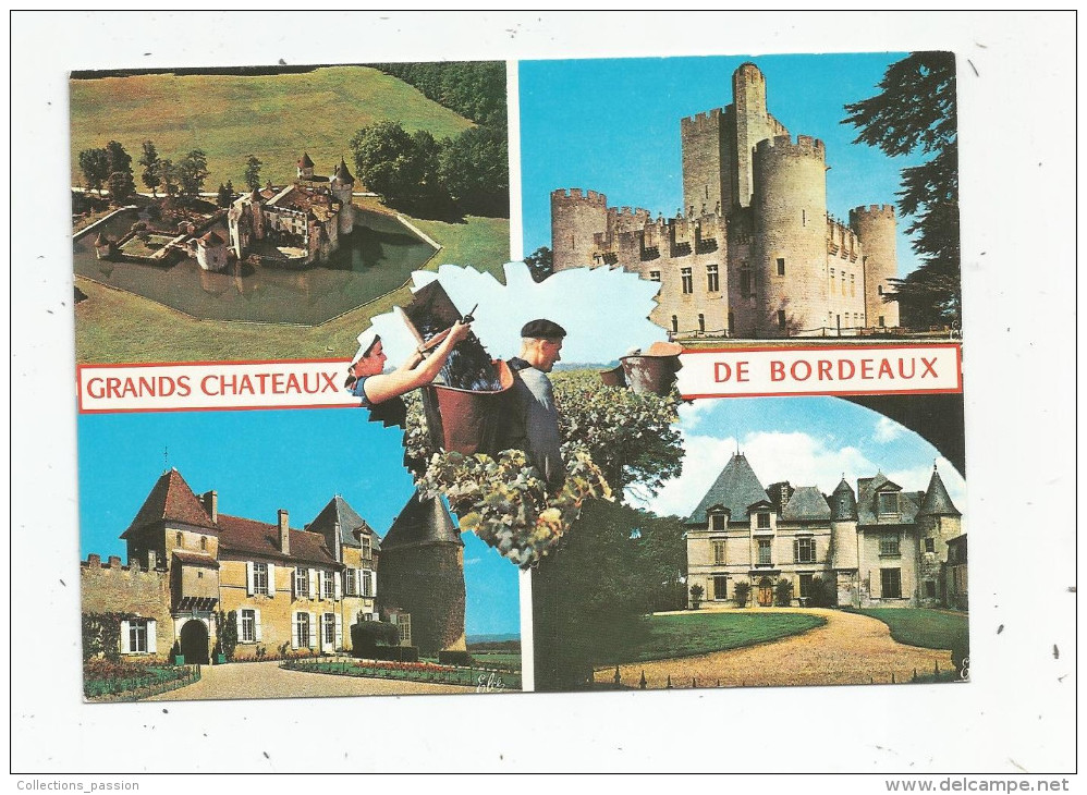 Cp , VIGNES , Vin , 33 , Grands Chateaux De Bordeaux , La Brède , Roquetaillade , Yquem , Haut Brion , écrite - Vines