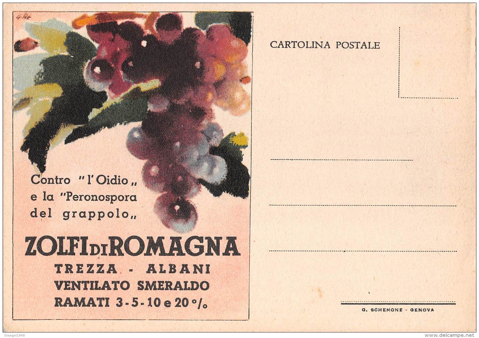 05709 "ZOLFI DI ROMAGNA - TREZZA ALBANI" CARTOLINA COMM. INTESTATA, NON SPEDITA - Altri & Non Classificati