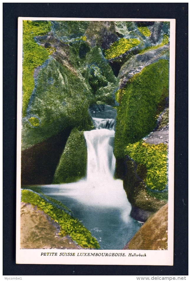 LUXEMBOURG  -  Echternach  Hallerbach  Unused Vintage Postcard - Echternach