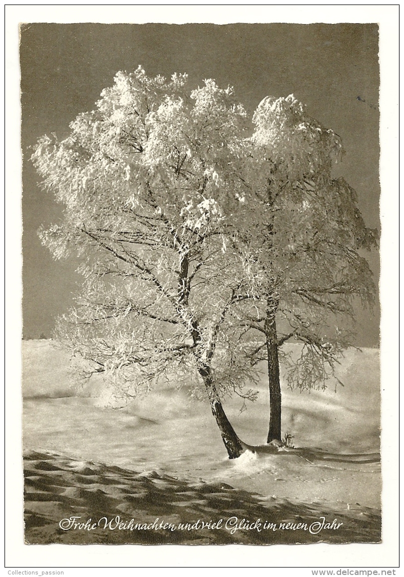 Cp, Arbre, Voyagée 1965 - Árboles