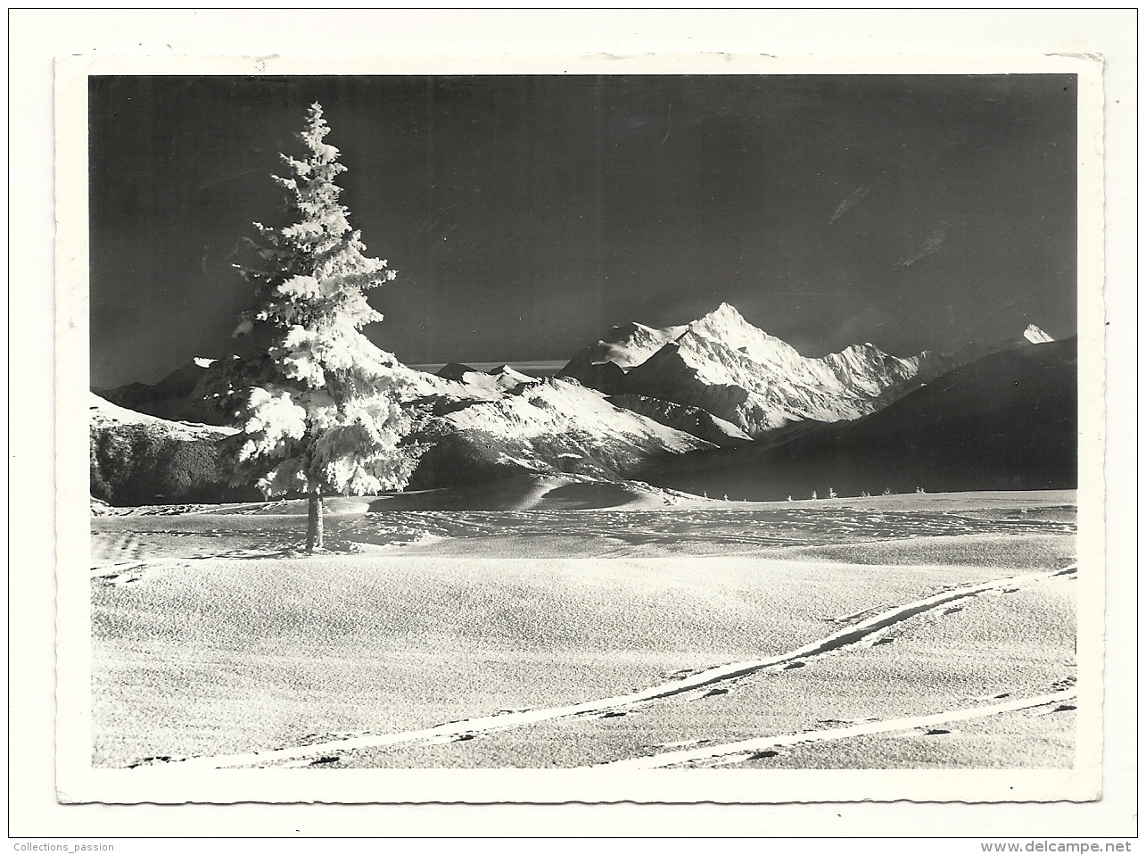 Cp, Suisse, Crans Sur Sierre, Nocturne, Weisshorn Et Rothorn, Voyagée 1964 - Sierre