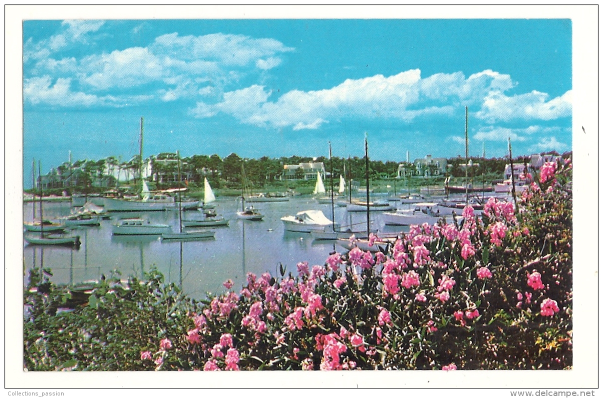 Cp, Etats-Unis, Cape Cod, Wychmere Harbor - Cape Cod