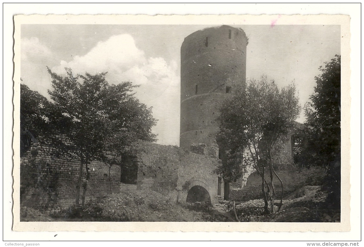 Cp, 38, Bressieux, Les Ruines Du Vieux Château, Voyagée 1955 - Bressieux