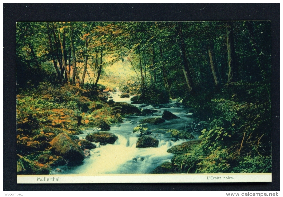 LUXEMBOURG  -  Mullerthal  L'Erenz Noire  Unused Vintage Postcard - Muellerthal
