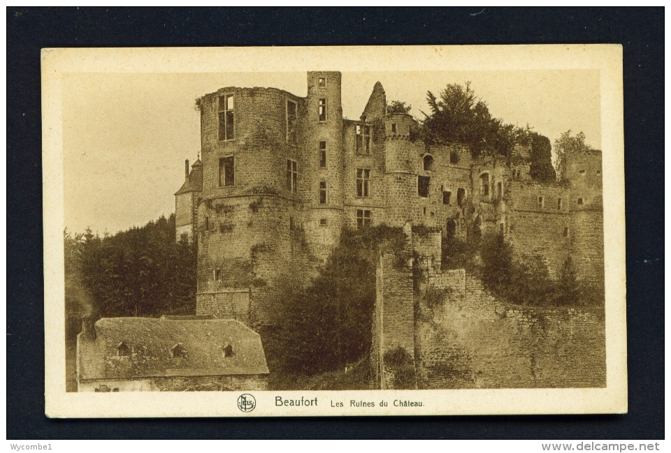 LUXEMBOURG  -  Echternach  Beaufort  Les Ruines Du Chateau  Unused Vintage Postcard - Echternach