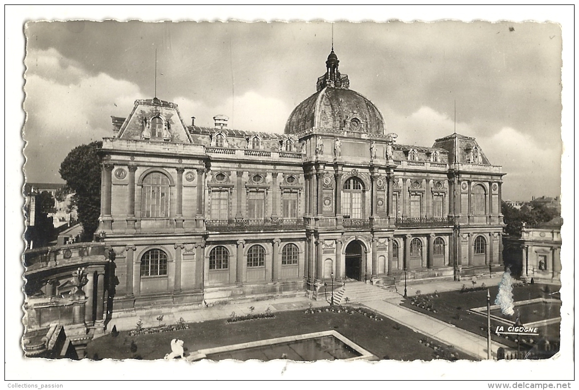 Cp, 80, Amiens, Le Musée - Amiens