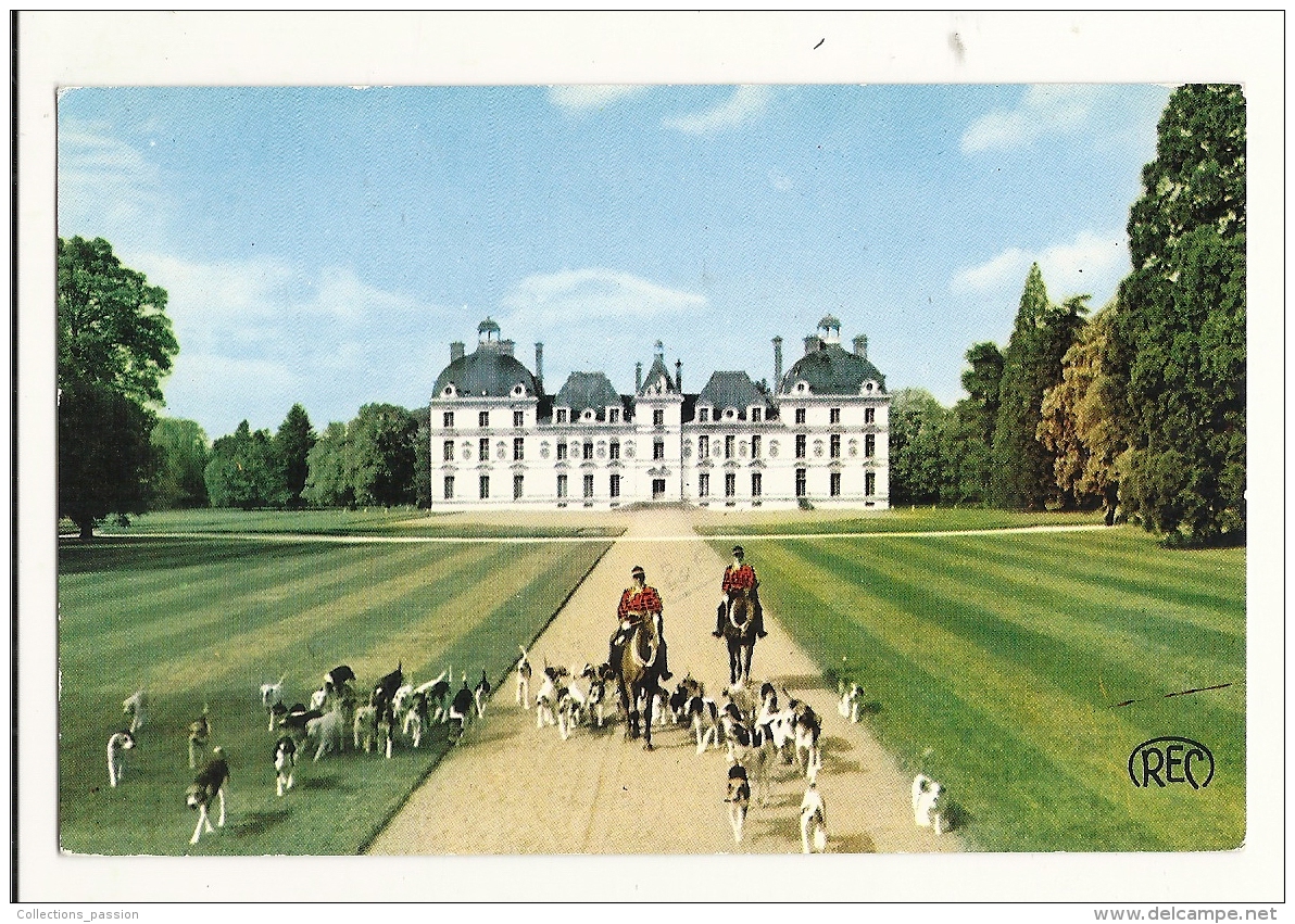 Cp, Chasse à Courre, Cheverny (41) - Le Château, Un Départ Pour La Chasse - Hunting