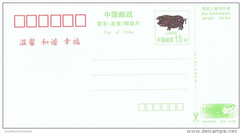 FLORA-L308 - CHINE Entier Postal Carte Année Du Cochon Illustrée Couple, Parapluie Avec Fleurs - Postcards