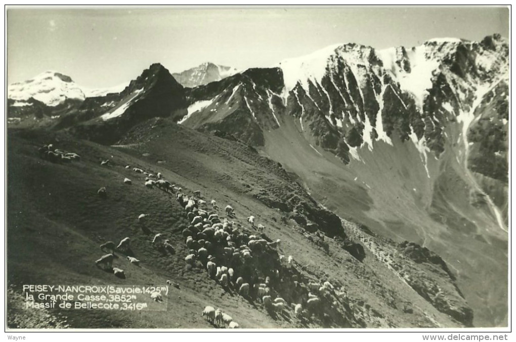 73 - Savoie - Peisey Nancroix - La Grande Casse - Massif De Bellecote - Autres & Non Classés