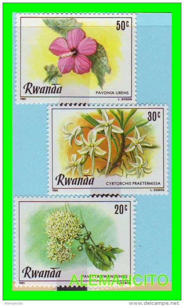 RWANDA  ( AFRICA  ) - 3 SELLOS AÑO 1981 - 1980-1989