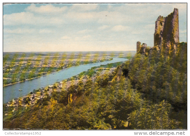 44423- DRACHENFELS- PANORAMA, RUINS, RHEIN RIVER - Drachenfels