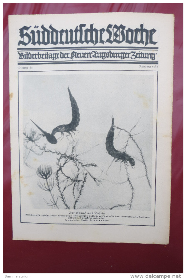 "Süddeutsche Woche" Bilderbeilage der Neuen Augsburger Zeitung, Ausgaben 2/1930 - 52/1930, in der orig. Sammelmappe