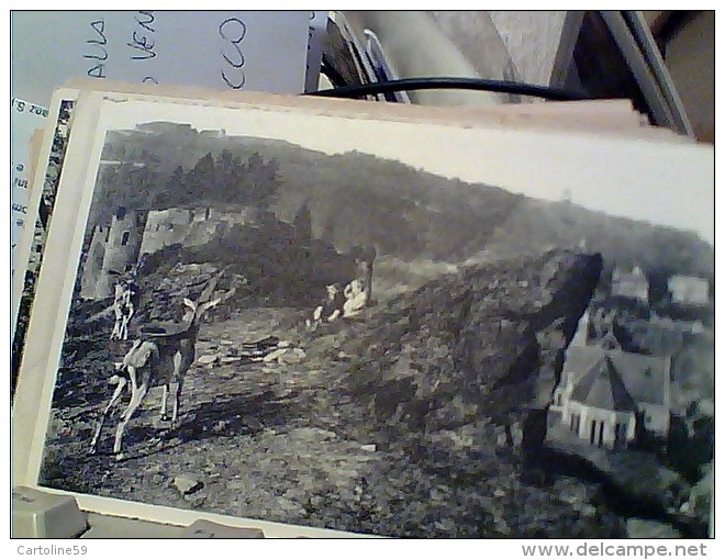 Belgium Belgique LA ROCHE EN ARDENNE  CHATEAU  N1930  FM2463 - La-Roche-en-Ardenne