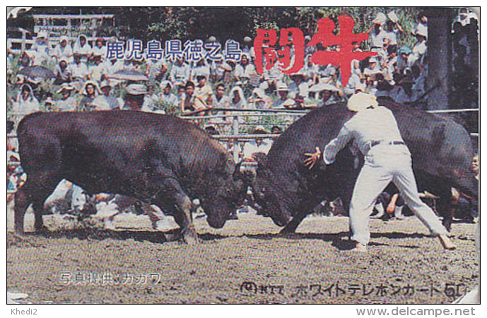 Rare Télécarte Japon - Animal - TAUREAU / Combat - BULL Fight Japan  Phonecard  - STIER Telefonkarte - 77 - Cows