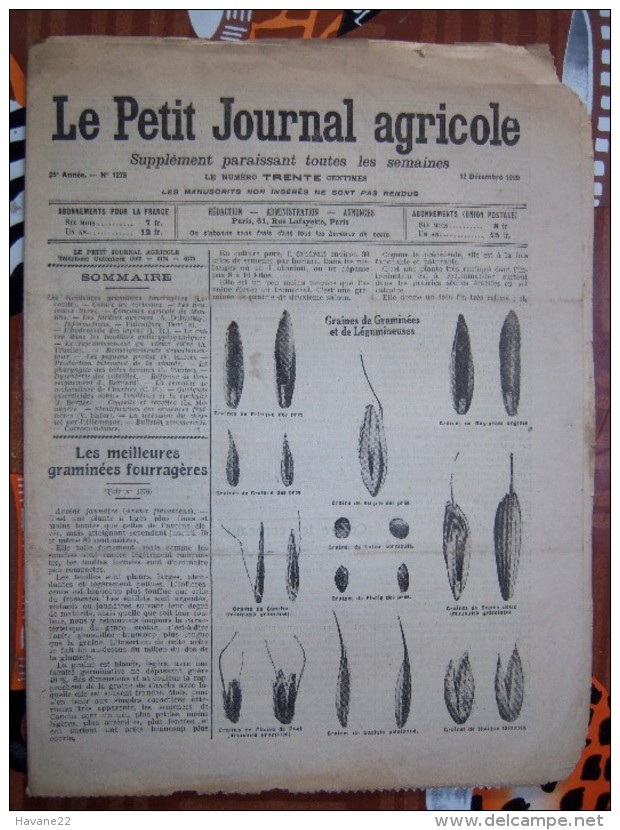 LE PETIT JOURNAL AGRICOLE 12/12/1920 AVEC PUB Les Meilleures Graminées Fourrageres16 PAGES Manque 1 Feuille - 1900 - 1949