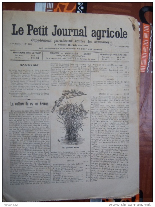 LE PETIT JOURNAL AGRICOLE 21/07/190? AVEC PUB Culture Du Riz En France 16 PAGES - 1900 - 1949
