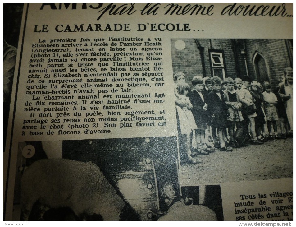 1960 LINE :Film LE PETIT PROF; Photo Pamber Heath'school (GB) ; Rose Pelletier,la dynamique de Noirmoutier;
