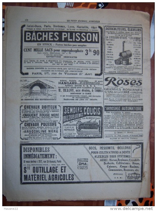 LE PETIT JOURNAL AGRICOLE 10/10/1920 AVEC PUB Tareau Frisou Elevage En Alsace 16 PAGES Manque 1 Feuille - 1900 - 1949