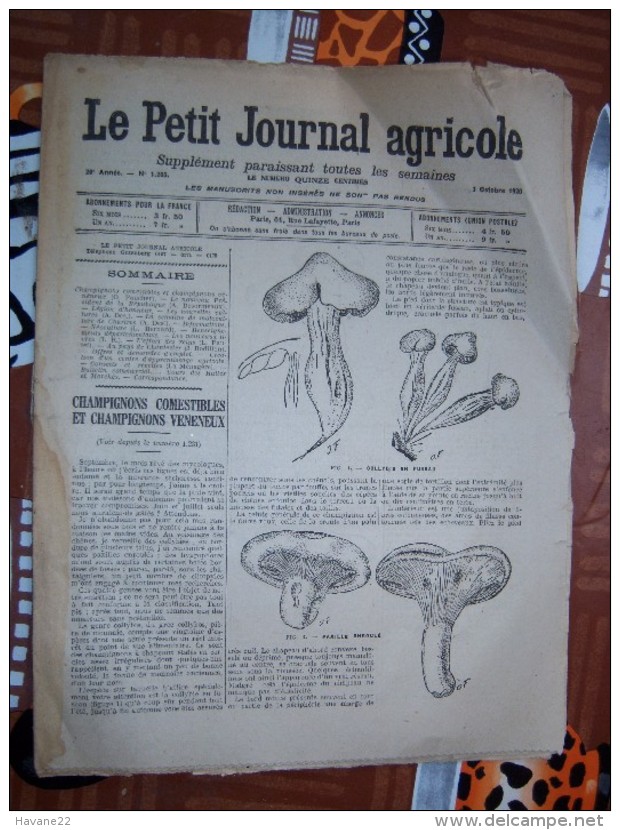 LE PETIT JOURNAL AGRICOLE 03/10/1920 AVEC PUB Champignons Comestibles Et Vénéneux 16 PAGES Manque 1 Feuille - 1900 - 1949