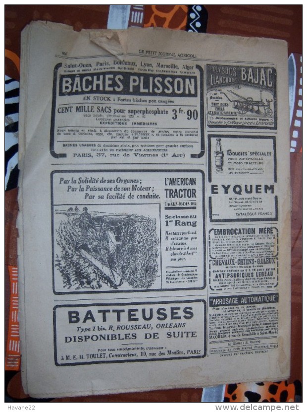 LE PETIT JOURNAL AGRICOLE 03/10/1920 AVEC PUB Champignons Comestibles Et Vénéneux 16 PAGES Manque 1 Feuille - 1900 - 1949